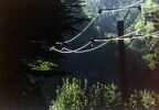 tv14